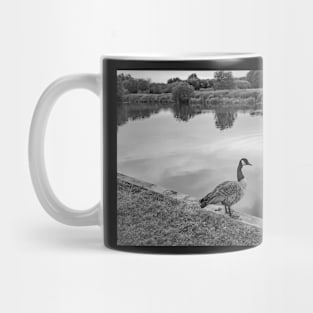 Canadian goose by the River Bure in Coltishall Mug